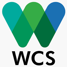 WCS logo design trends