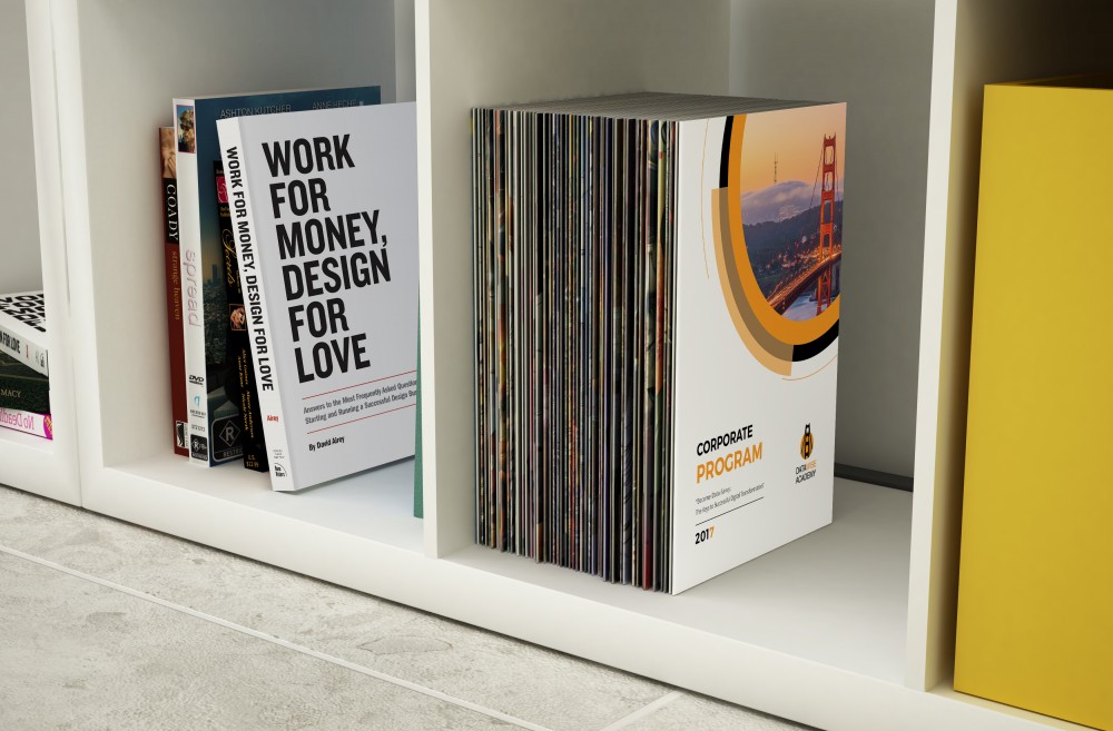 Branding, Logo Design, Brand Guide, Brochure, Web