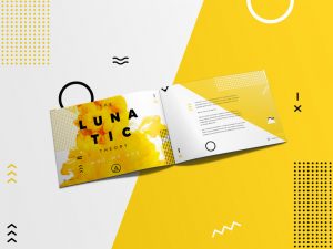 Lunatix Brochure Split3